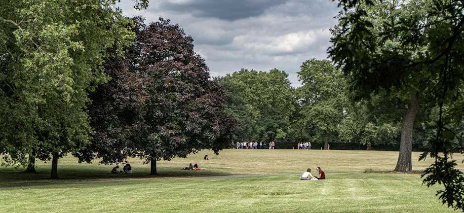 A wide outdoor scene in a park with a large grassy area surrounded by mature trees, including a dark-leafed tree to the left and leafy green trees to the right. In the foreground, two people sit on the grass, facing each other, engaged in conversation. Behind them, a trolley loaded with packed cardboard boxes and wrapped furniture is being moved across the grass by a person, indicating a home relocation process. Further back, groups of people are scattered across the open space, some sitting, others walking or standing under the shade of trees. The sky is partly cloudy, creating a natural and calm atmosphere, with the scene illustrating a typical outdoor setting associated with moving activities and outdoor relaxation. Man with Van Merton specializes in removals and furniture transport, as reflected in the context of professional moving services.